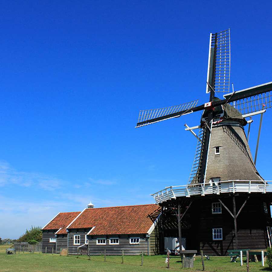 ferienhaus-niederlande-insel-ameland-hof-van-hollum-24-windmühle.jpg