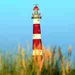 Thumbnail von ferienhaus-niederlande-insel-ameland-hof-van-hollum-9-leuchtturm.jpg